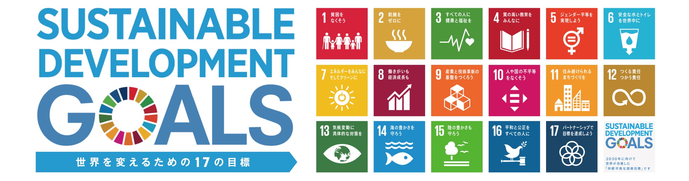 SdgsMainTitle